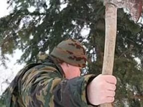 Меры по борьбе с не законной вырубкой леса